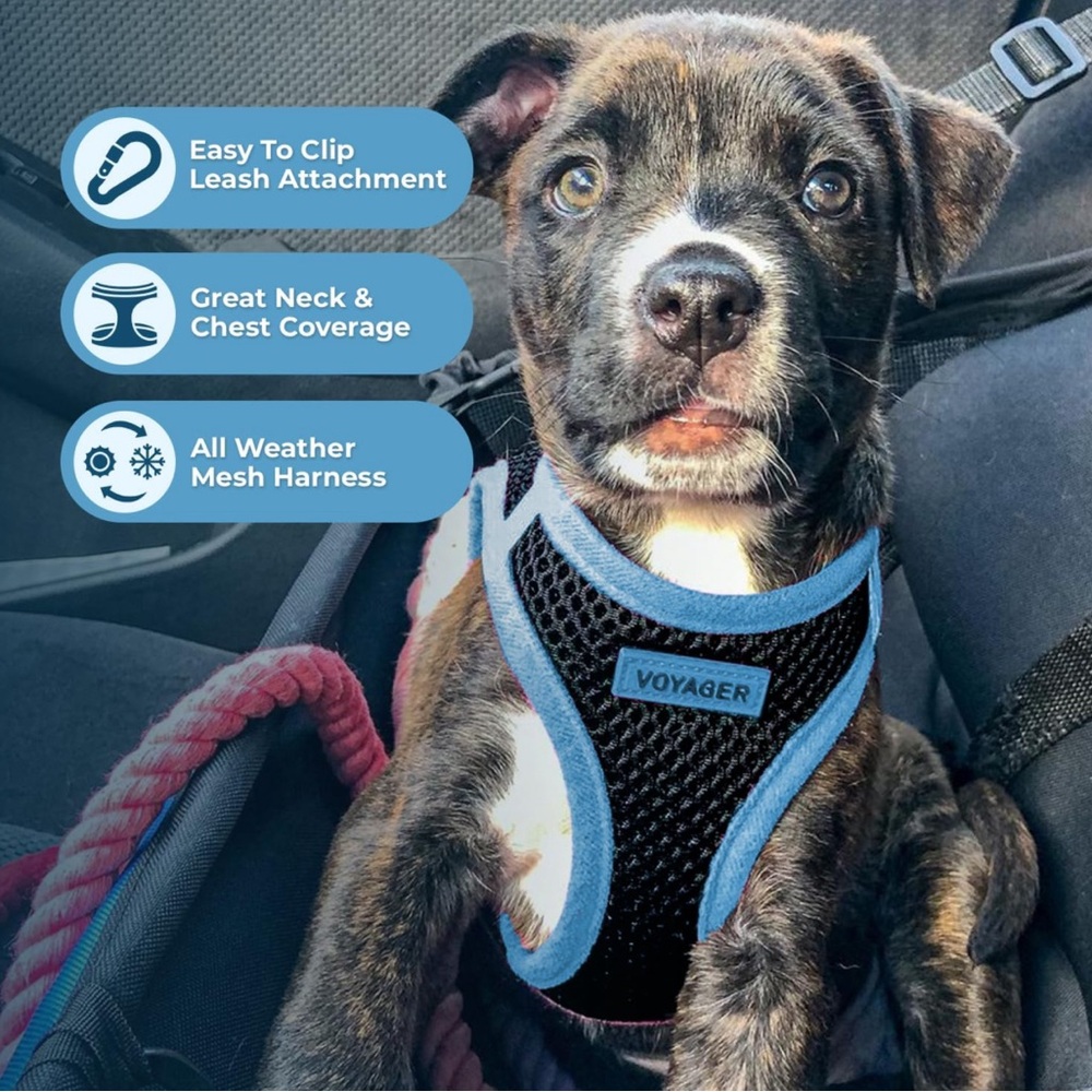 Voyager Step-In Air Dog Harness - All Weather Mesh  Blue XS Size For Small Dogs